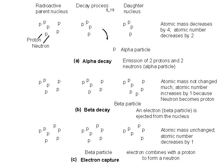 Radioactive parent nucleus pp p p Decay process 8_19 pp pp p (a) Alpha