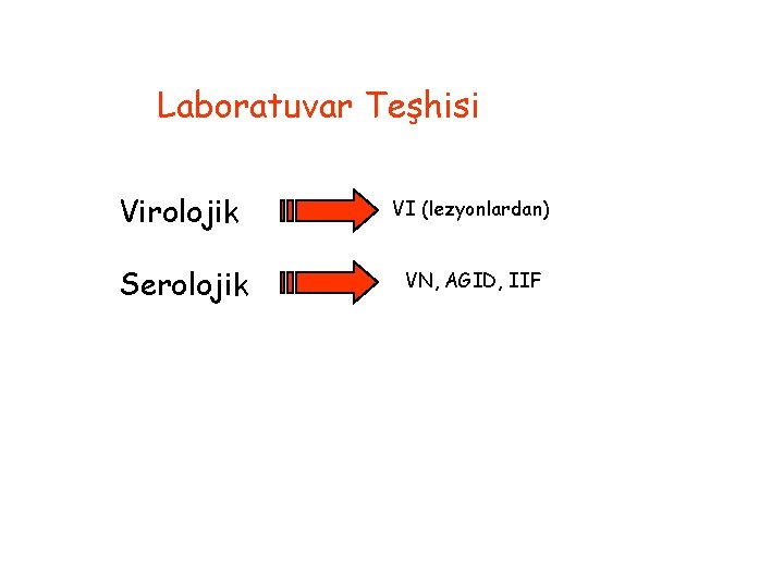 Laboratuvar Teşhisi Virolojik VI (lezyonlardan) Serolojik VN, AGID, IIF 