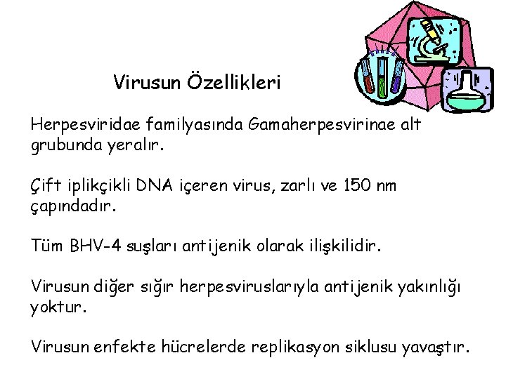 Virusun Özellikleri Herpesviridae familyasında Gamaherpesvirinae alt grubunda yeralır. Çift iplikçikli DNA içeren virus, zarlı