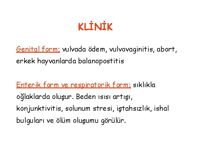 KLİNİK Genital form; vulvada ödem, vulvovaginitis, abort, erkek hayvanlarda balanopostitis Enterik form ve respiratorik