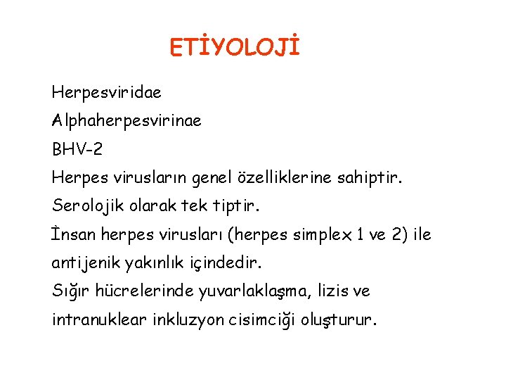 ETİYOLOJİ Herpesviridae Alphaherpesvirinae BHV-2 Herpes virusların genel özelliklerine sahiptir. Serolojik olarak tek tiptir. İnsan