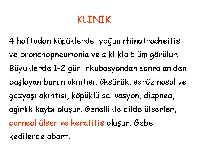 KLİNİK 4 haftadan küçüklerde yoğun rhinotracheitis ve bronchopneumonia ve sıklıkla ölüm görülür. Büyüklerde 1