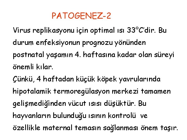 PATOGENEZ-2 Virus replikasyonu için optimal ısı 33°C’dir. Bu durum enfeksiyonun prognozu yönünden postnatal yaşamın