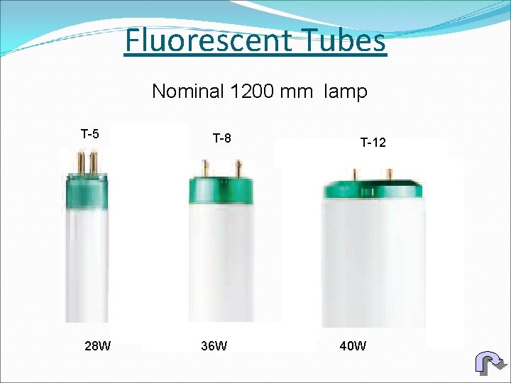 Fluorescent Tubes Nominal 1200 mm lamp T-5 28 W T-8 36 W T-12 40