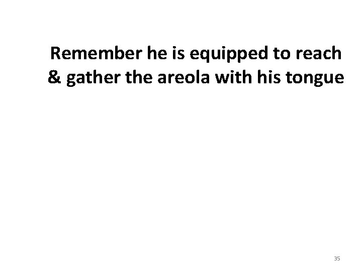 Remember he is equipped to reach & gather the areola with his tongue 35 Remember he is equipped to reach & gather the areola with his tongue 35