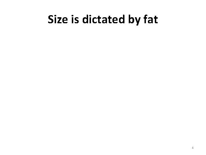 Size is dictated by fat © 1999 K Hoover 4 Size is dictated by fat © 1999 K Hoover 4