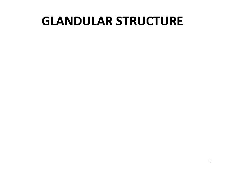 GLANDULAR STRUCTURE © Ruth Lawrence © 2006 Medela, Ag 5 GLANDULAR STRUCTURE © Ruth Lawrence © 2006 Medela, Ag 5