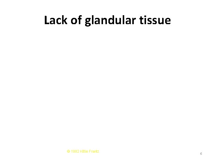 Lack of glandular tissue © 1982 Kittie Frantz 6 Lack of glandular tissue © 1982 Kittie Frantz 6