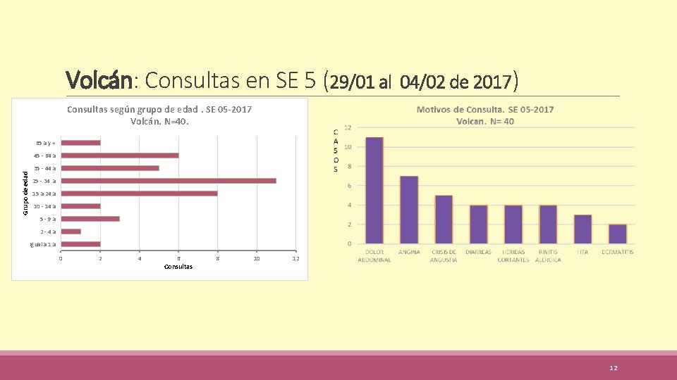 Volcán: Consultas en SE 5 (29/01 al 04/02 de 2017) Consultas según grupo de