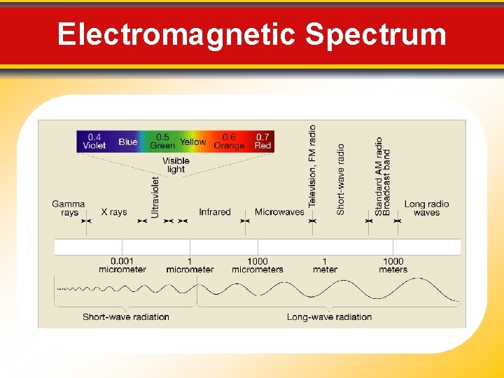 Electromagnetic Spectrum 