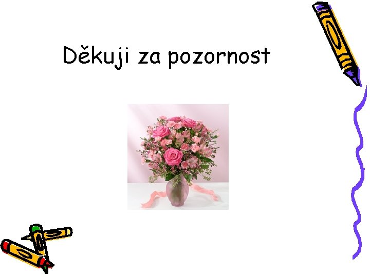 Děkuji za pozornost 