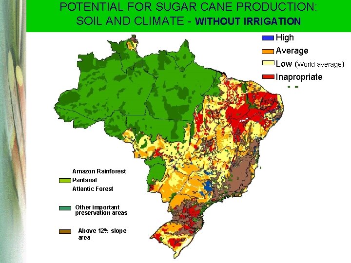 POTENTIAL FOR SUGAR CANE PRODUCTION: SOIL AND CLIMATE - WITHOUT IRRIGATION High Average Low POTENTIAL FOR SUGAR CANE PRODUCTION: SOIL AND CLIMATE - WITHOUT IRRIGATION High Average Low