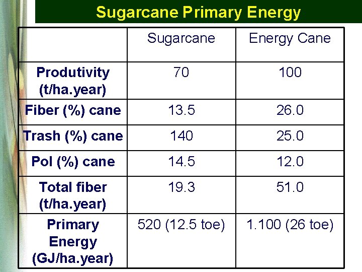 Sugarcane Primary Energy Sugarcane Energy Cane Produtivity (t/ha. year) Fiber (%) cane 70 100 Sugarcane Primary Energy Sugarcane Energy Cane Produtivity (t/ha. year) Fiber (%) cane 70 100