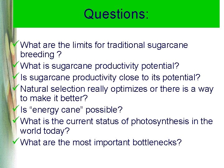Questions: ü What are the limits for traditional sugarcane breeding ? ü What is Questions: ü What are the limits for traditional sugarcane breeding ? ü What is