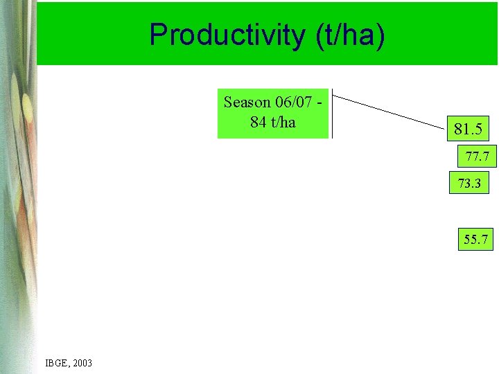 Productivity (t/ha) Season 06/07 84 t/ha 81. 5 77. 7 73. 3 55. 7 Productivity (t/ha) Season 06/07 84 t/ha 81. 5 77. 7 73. 3 55. 7