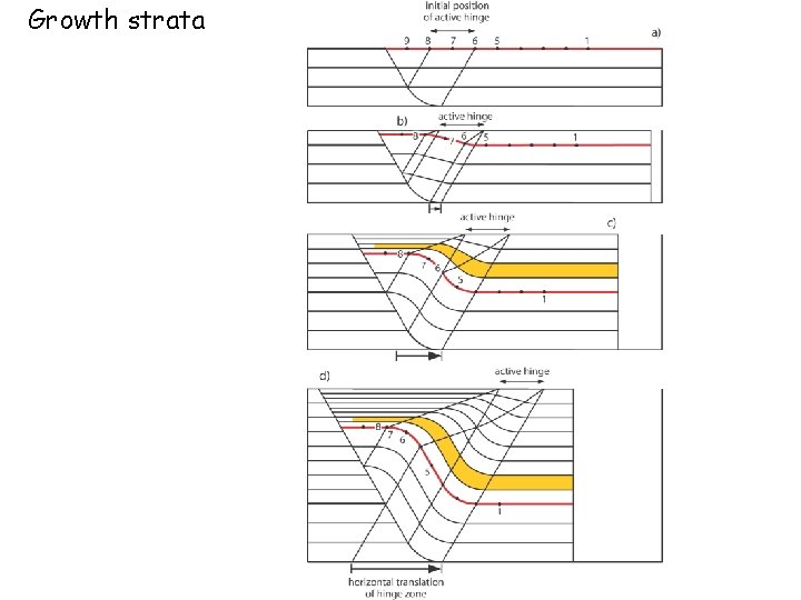 Growth strata 