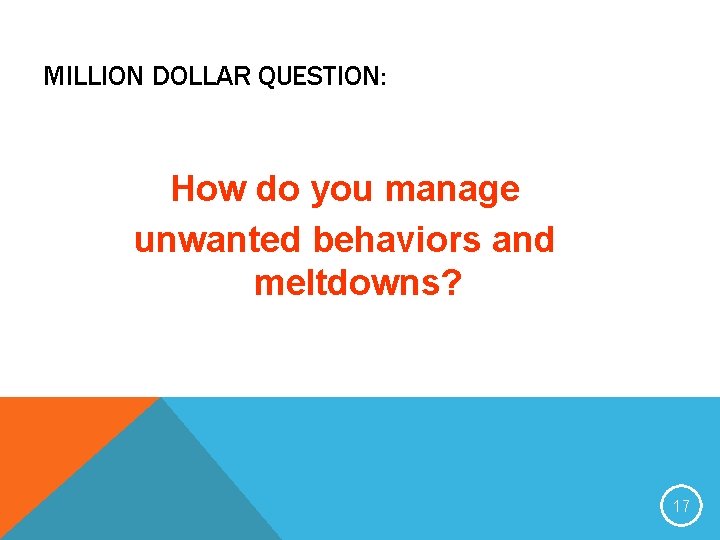 MILLION DOLLAR QUESTION: How do you manage unwanted behaviors and meltdowns? 17 