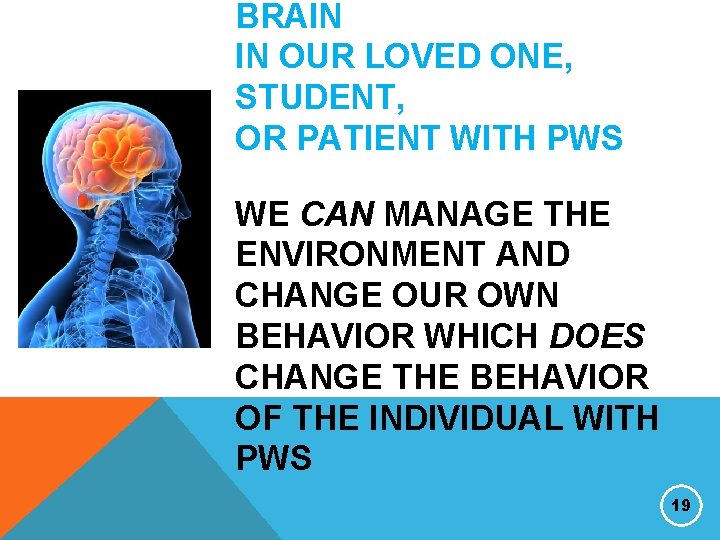 BRAIN IN OUR LOVED ONE, STUDENT, OR PATIENT WITH PWS WE CAN MANAGE THE