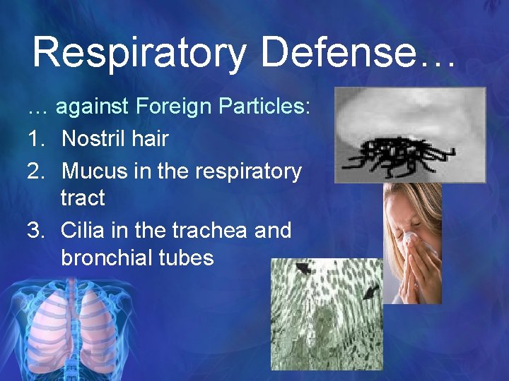 Respiratory Defense… … against Foreign Particles: 1. Nostril hair 2. Mucus in the respiratory