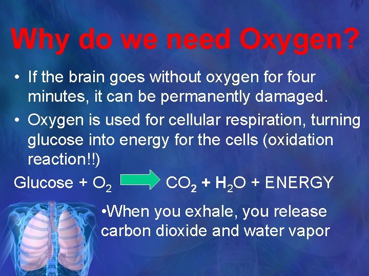 Why do we need Oxygen? • If the brain goes without oxygen for four