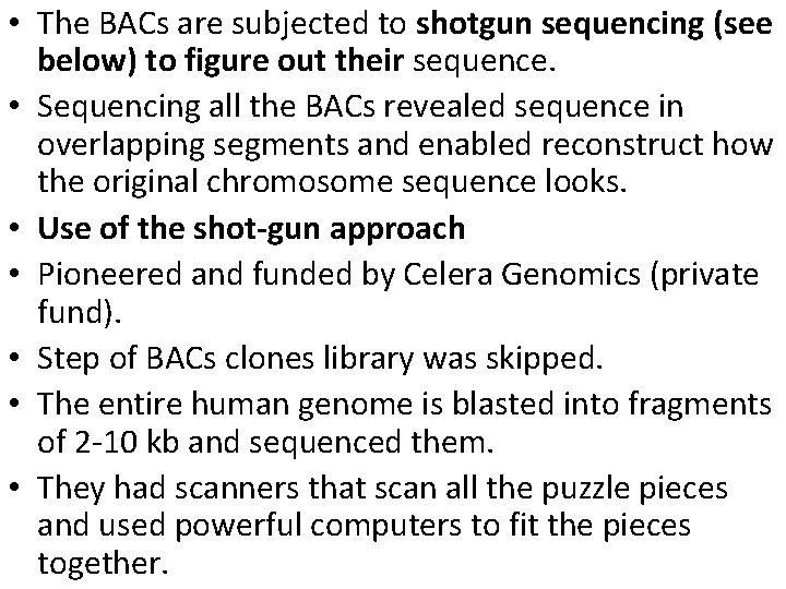  • The BACs are subjected to shotgun sequencing (see below) to figure out
