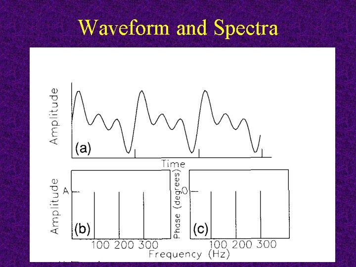 Waveform and Spectra 