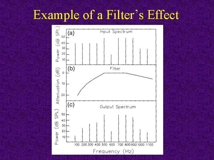 Example of a Filter’s Effect 