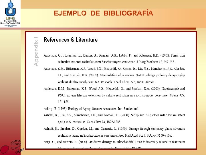 EJEMPLO DE BIBLIOGRAFÍA 