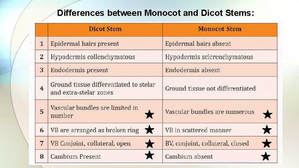 Differences between Monocot and Dicot Stems: 