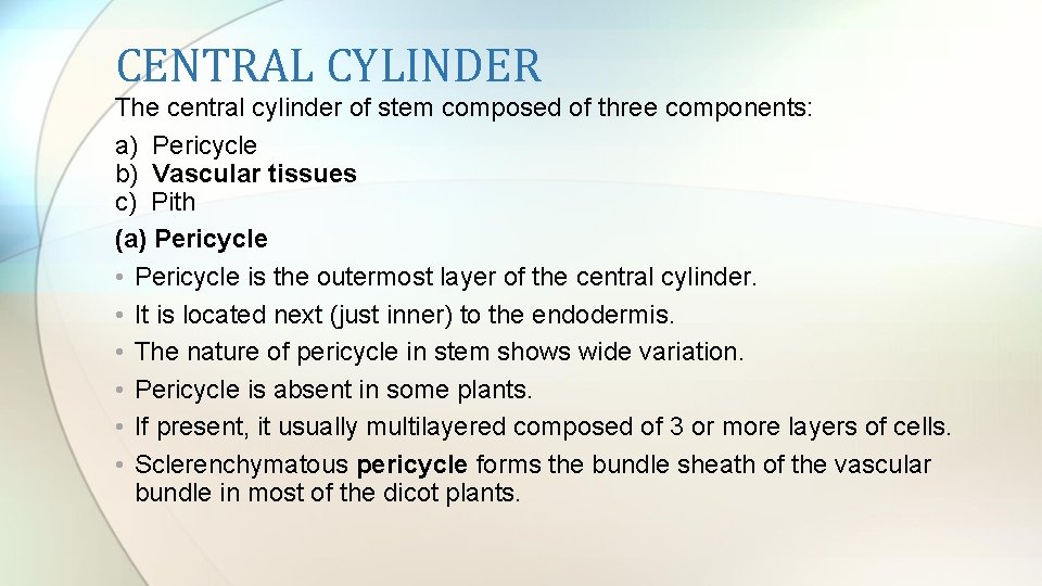 CENTRAL CYLINDER The central cylinder of stem composed of three components: a) Pericycle b)