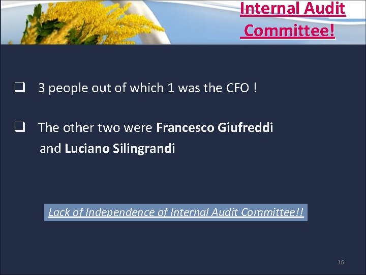 Internal Audit Committee! q 3 people out of which 1 was the CFO ! Internal Audit Committee! q 3 people out of which 1 was the CFO !