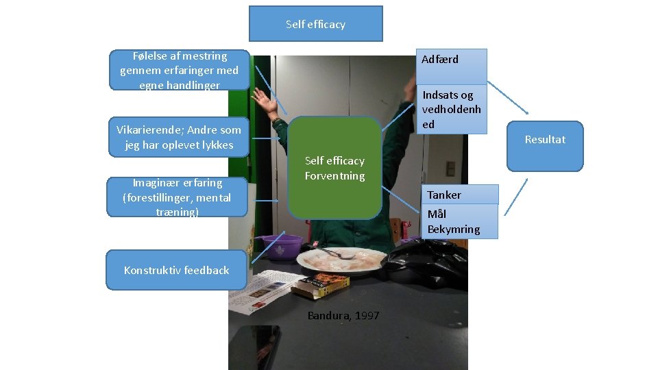 Self efficacy Følelse af mestring gennem erfaringer med egne handlinger Adfærd Indsats og vedholdenh