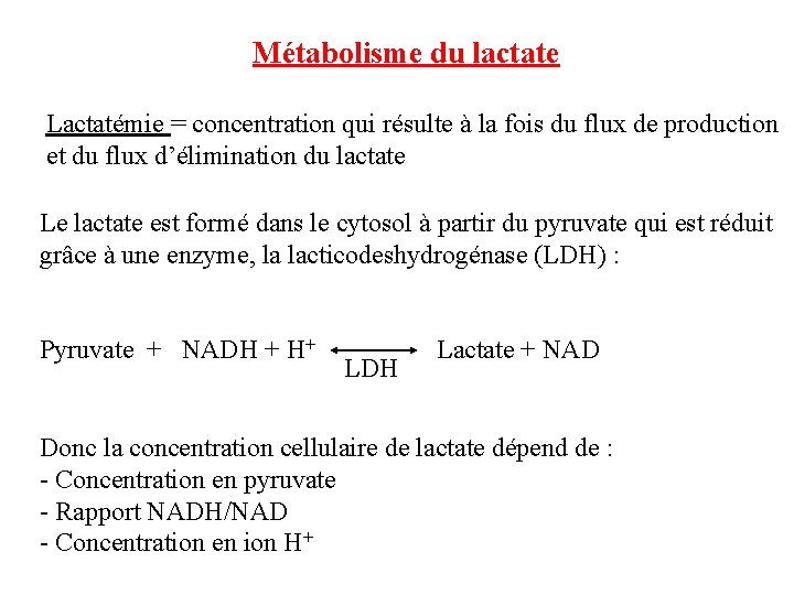 Métabolisme du lactate Lactatémie = concentration qui résulte à la fois du flux de