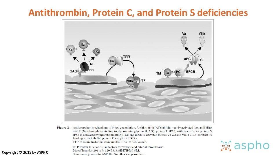 Antithrombin, Protein C, and Protein S deficiencies Copyright © 2019 by ASPHO Antithrombin, Protein C, and Protein S deficiencies Copyright © 2019 by ASPHO