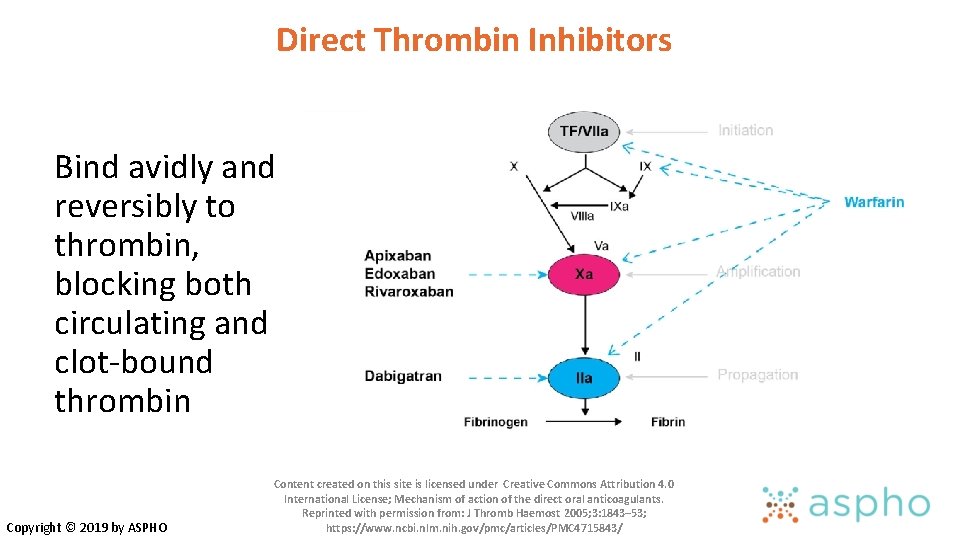 Direct Thrombin Inhibitors Bind avidly and reversibly to thrombin, blocking both circulating and clot-bound Direct Thrombin Inhibitors Bind avidly and reversibly to thrombin, blocking both circulating and clot-bound