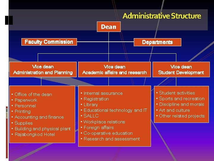 Administrative Structure Dean Faculty Commission Vice dean Administration and Planning • Office of the