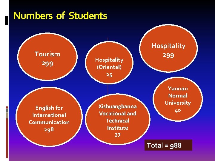 Numbers of Students Tourism 299 English for International Communication 298 Hospitality (Oriental) 25 Xishuangbanna