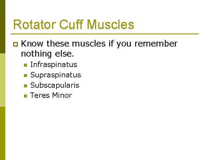 Rotator Cuff Muscles p Know these muscles if you remember nothing else. n n
