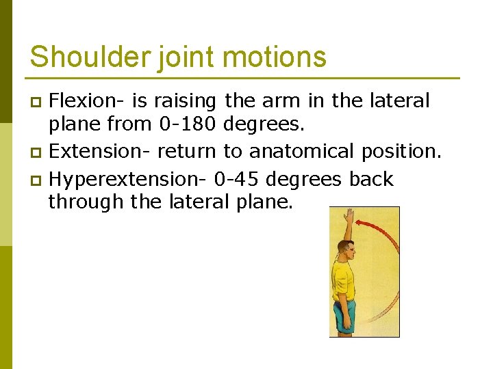 Shoulder joint motions Flexion- is raising the arm in the lateral plane from 0