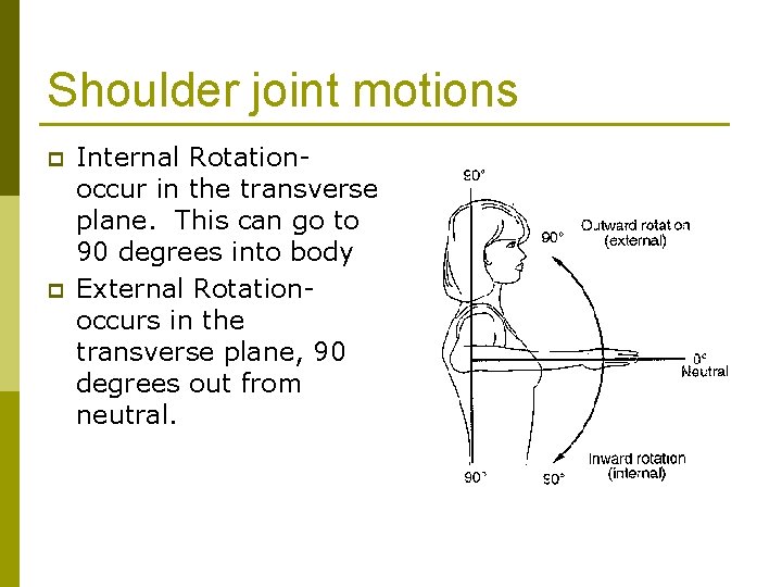 Shoulder joint motions p p Internal Rotationoccur in the transverse plane. This can go