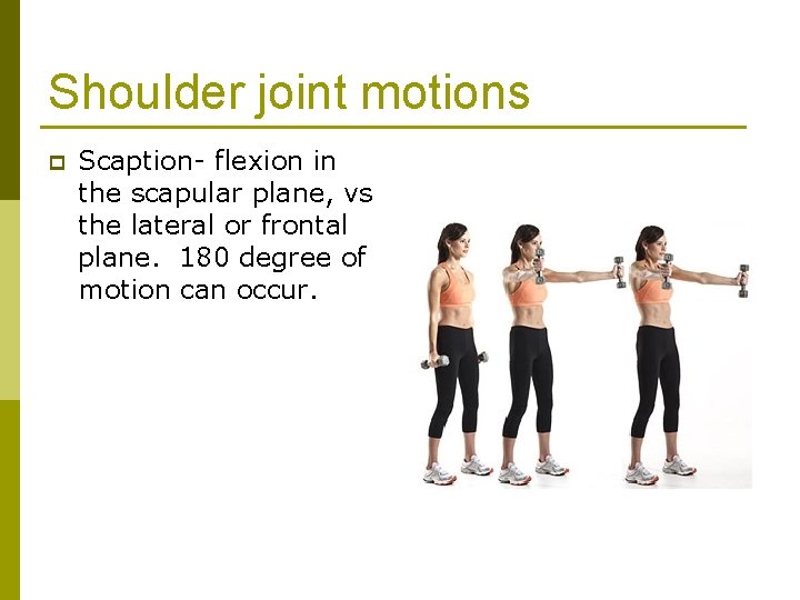 Shoulder joint motions p Scaption- flexion in the scapular plane, vs the lateral or