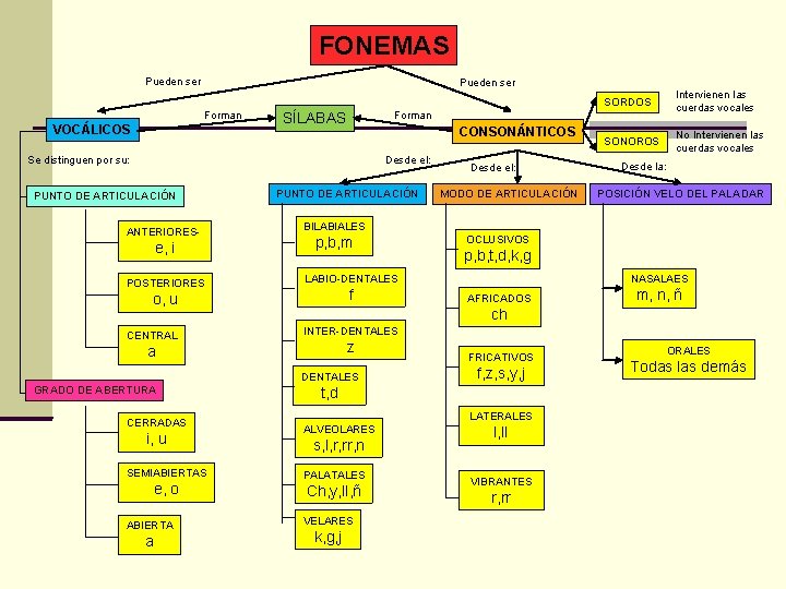 FONEMAS Pueden ser Forman VOCÁLICOS CONSONÁNTICOS Desde el: ANTERIORES- e, i POSTERIORES PUNTO DE