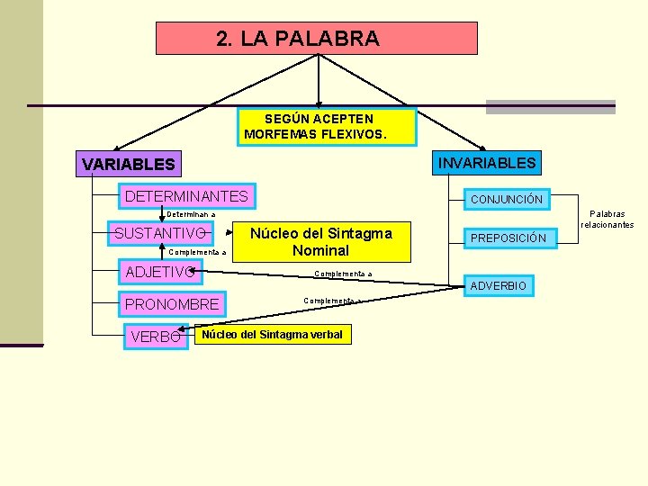 2. LA PALABRA SEGÚN ACEPTEN MORFEMAS FLEXIVOS. INVARIABLES DETERMINANTES CONJUNCIÓN Palabras relacionantes Determinan a