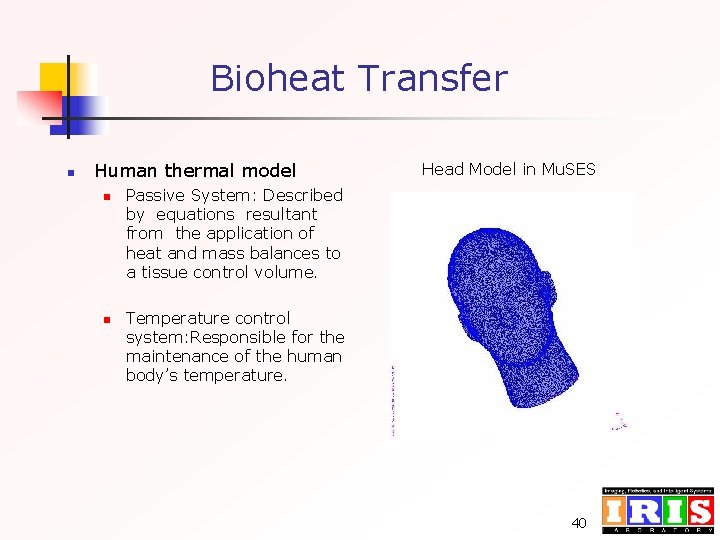 Bioheat Transfer n Human thermal model n n Head Model in Mu. SES Passive