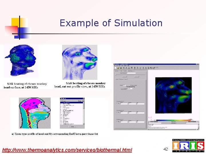 Example of Simulation http: //www. thermoanalytics. com/services/biothermal. html 42 