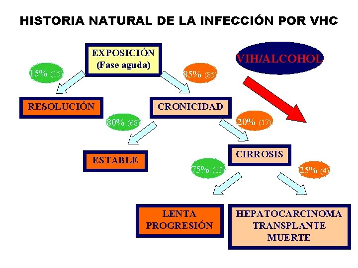 HISTORIA NATURAL DE LA INFECCIÓN POR VHC 15% (15) EXPOSICIÓN (Fase aguda) RESOLUCIÓN VIH/ALCOHOL