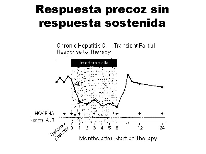 Respuesta precoz sin respuesta sostenida 