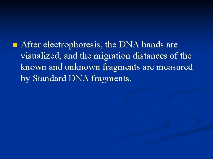 n After electrophoresis, the DNA bands are visualized, and the migration distances of the