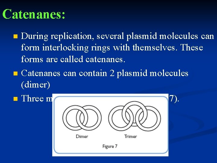 Catenanes: n n n During replication, several plasmid molecules can form interlocking rings with