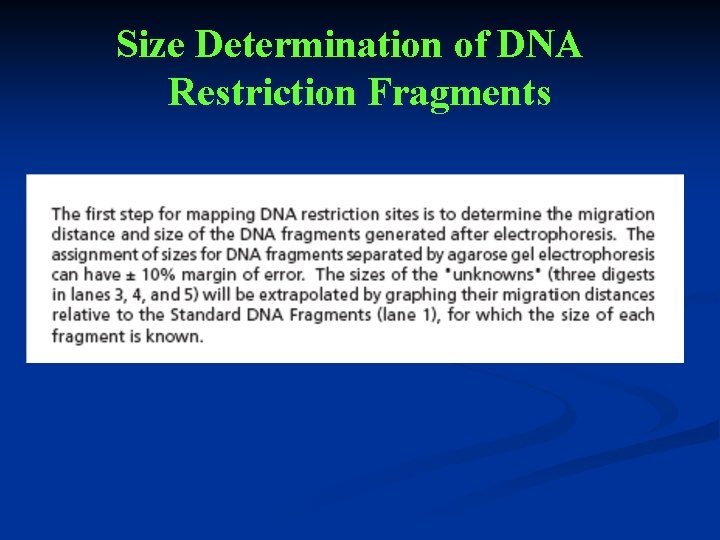 Size Determination of DNA Restriction Fragments 